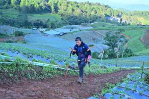 BIB: 
                            <button type="button" onclick="openModal(13384753)" class="btn btn-primary btn-sm float-right btn-popup" data-toggle="modal" data-target=".modal-high-quality">
                        <i class="fas fa-shopping-cart"></i> Add to Cart
                    </button>
                                            <button type="button" onclick="isThisMe(13384753, true)" class="btn btn-success btn-sm float-right btn-popup btn-isme hidden" data-toggle="tooltip" data-placement="bottom" title="นี่คือรูปของคุณใช่ไหม คลิกที่นี่เพื่อเอาเข้าอัลบั้ม">
                        <i class="fas fa-plus"></i> Add to album
                    </button>
                    <button type="button" onclick="isThisMe(13384753, false)" class="btn btn-warning btn-sm float-right btn-popup btn-isnotme hidden">
                        <i class="fas fa-ban"></i> Remove from album
                    </button>